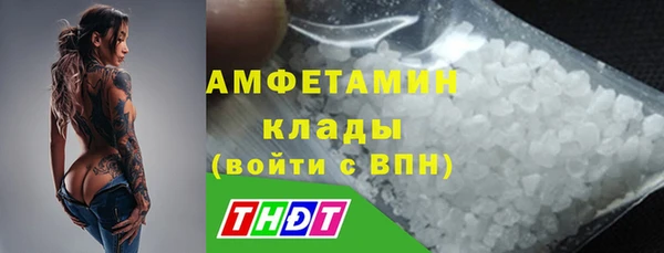 стафф Алзамай