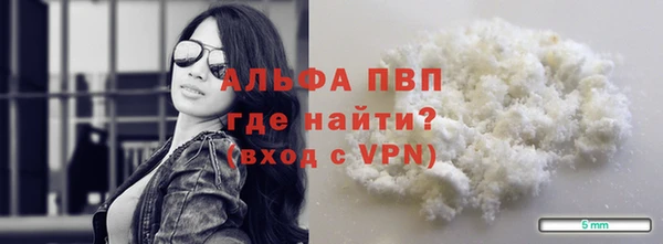 стафф Алзамай