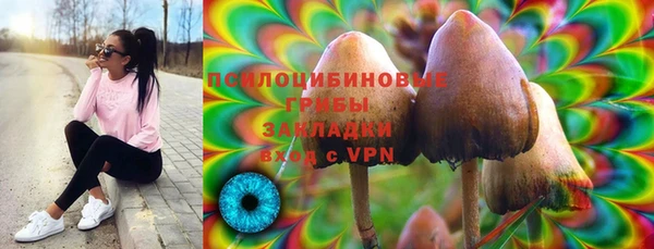 2c-b Абинск