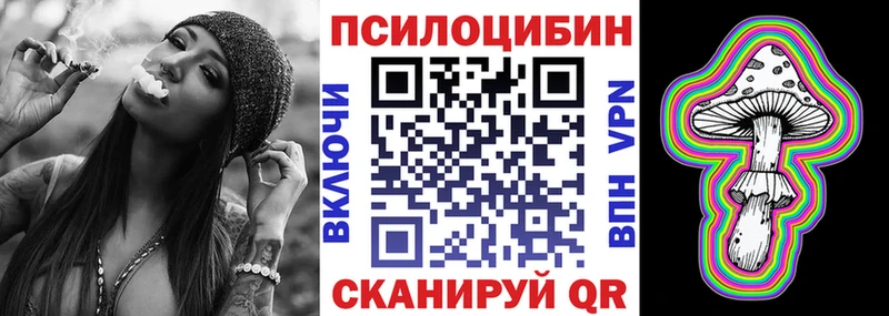 Галлюциногенные грибы мицелий  blacksprut маркетплейс  Питкяранта  что такое  