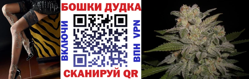 МАРИХУАНА SATIVA & INDICA  маркетплейс клад  Питкяранта 